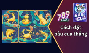 cach dat bau cua thang